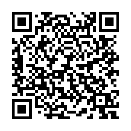 QR code for plate 228-OSQ