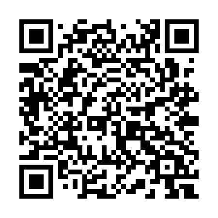 QR code for plate 228-QDT