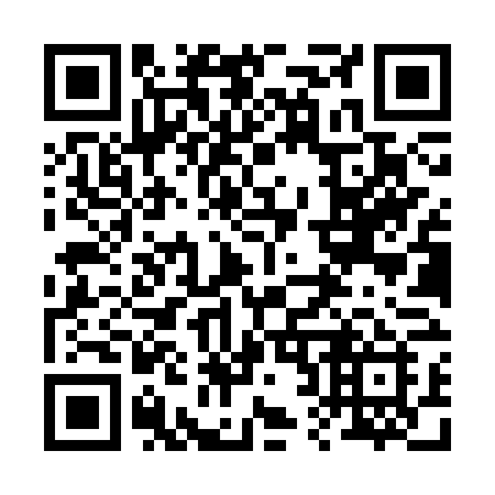 QR code for plate 228-SVI