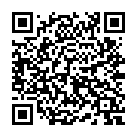 QR code for plate 228-VTP