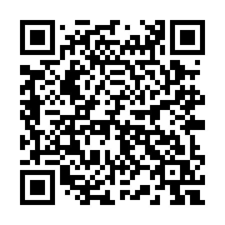 QR code for 229-PIS