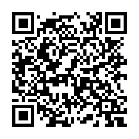 QR code for 229NRQ
