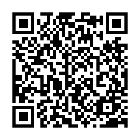 QR code for plate 231-NOW