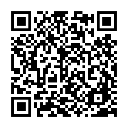 QR code for plate 232-DFG