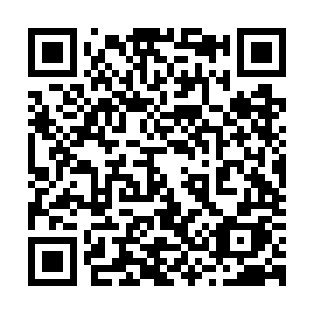 QR code for plate 232-GOH