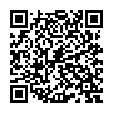 QR code for plate 232-IHO