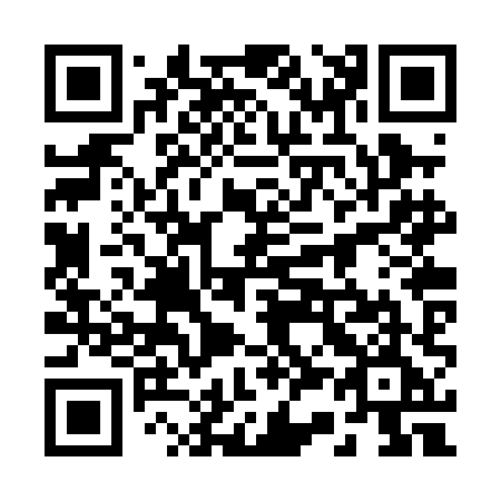 QR code for plate 232-PHE