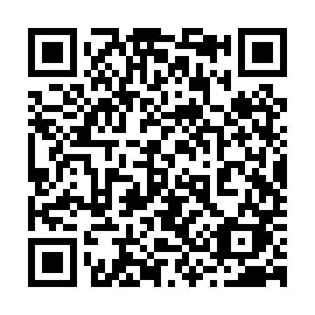 QR code for plate 232-PPK
