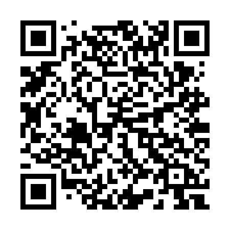 QR code for plate 232-VEB