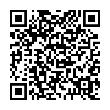 QR code for plate 233-RUM