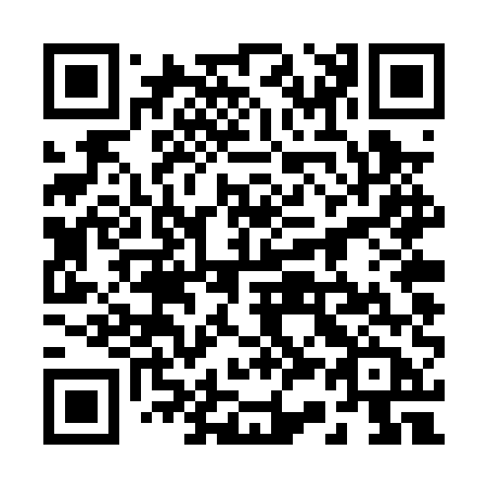 QR code for plate 234-PUB