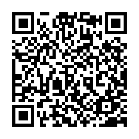 QR code for plate 234-QIT