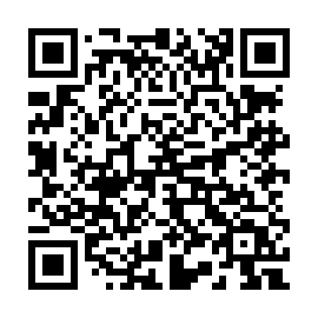 QR code for plate 238-LET