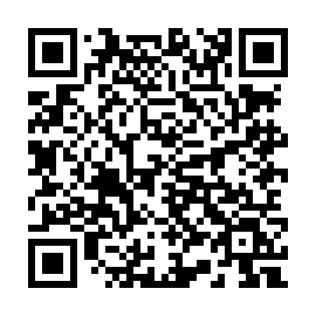 QR code for plate 238-LNL