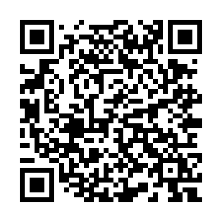 QR code for plate 238-TOY