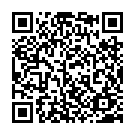 QR code for plate 239-SKT