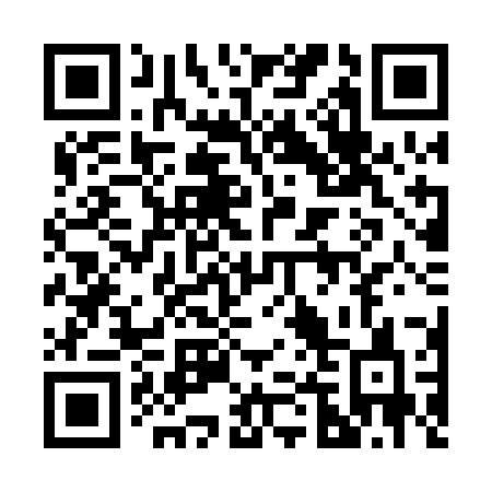 QR code for plate 241-PJC
