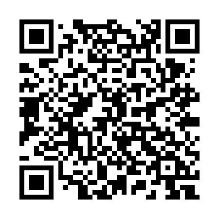 QR code for plate 241-VEF