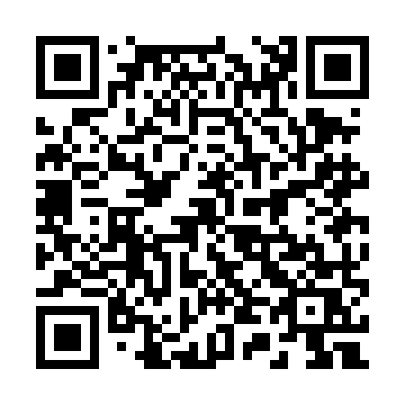 QR code for 243-DMS