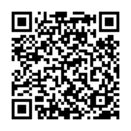 QR code for plate 243-DAS