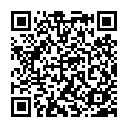 QR code for plate 243-TUM