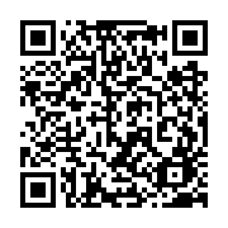 QR code for plate 245-GUB