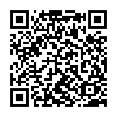 QR code for plate 249-KMQ