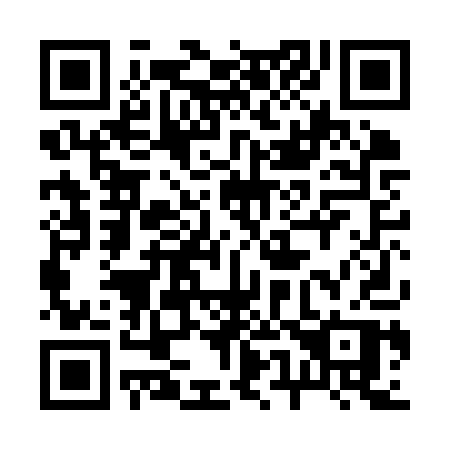 QR code for plate 250-KQP