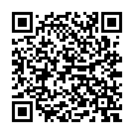QR code for 251-QLU