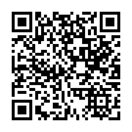 QR code for 256-LLG