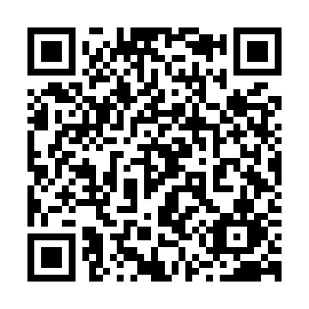 QR code for plate 256-MSN