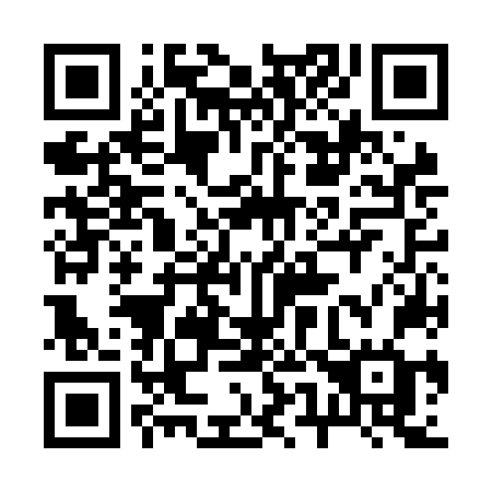 QR code for 256NNG