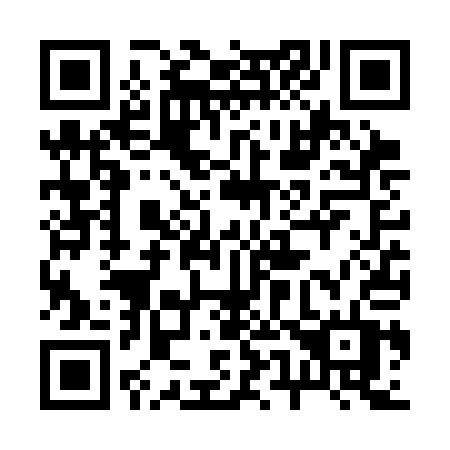 QR code for plate 256-SAT