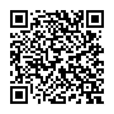 QR code for 262-FFS