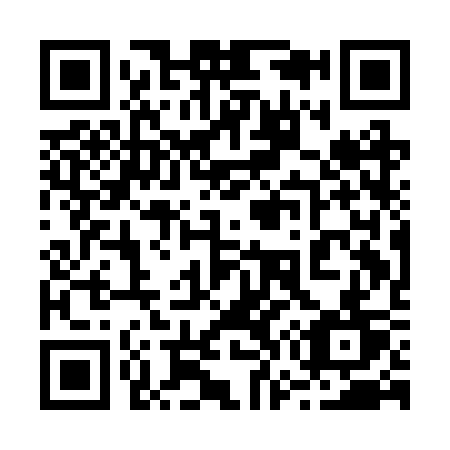 QR code for plate 271-BST