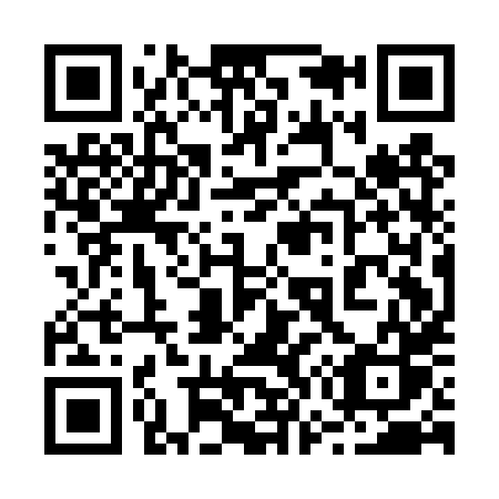 QR code for plate 271-DXS