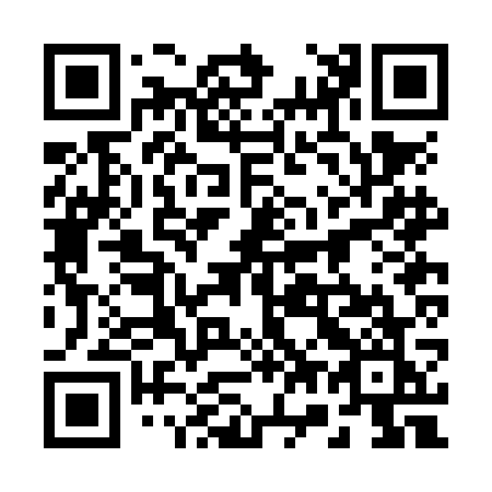 QR code for 272-NGK