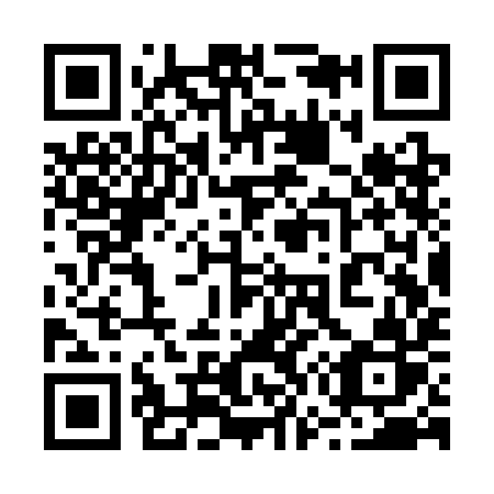 QR code for plate 273-SIR