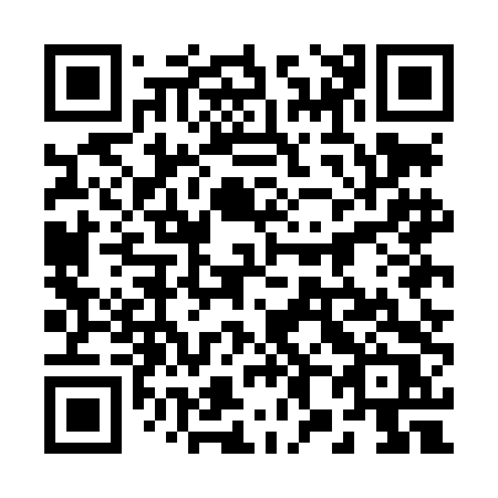 QR code for plate 285-LDR