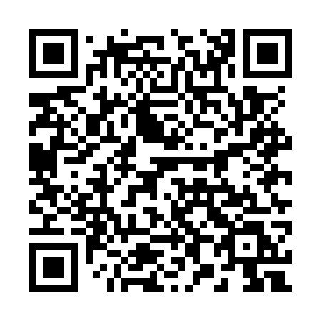 QR code for plate 285-OWL
