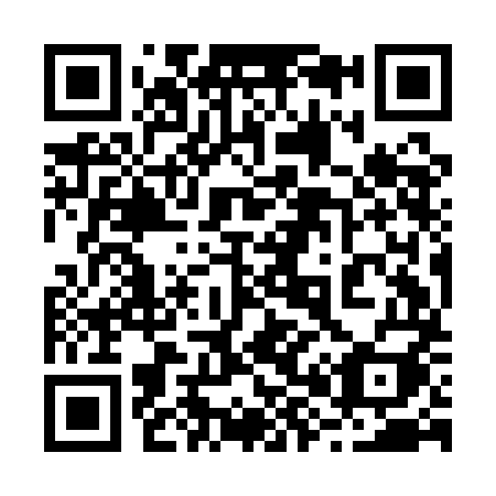 QR code for plate 289-AMI