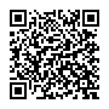 QR code for 290-DDO