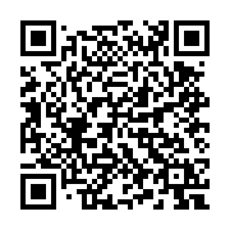 QR code for 290-DSX