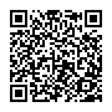 QR code for 290-IDZ