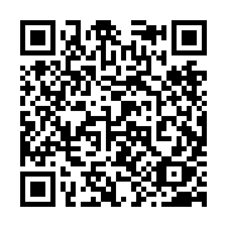 QR code for 290-NIX