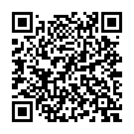QR code for 290-PYF