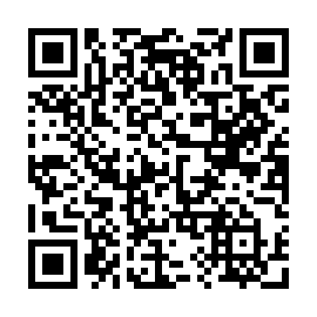 QR code for plate 290-KEY