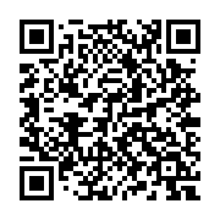 QR code for 290PXL