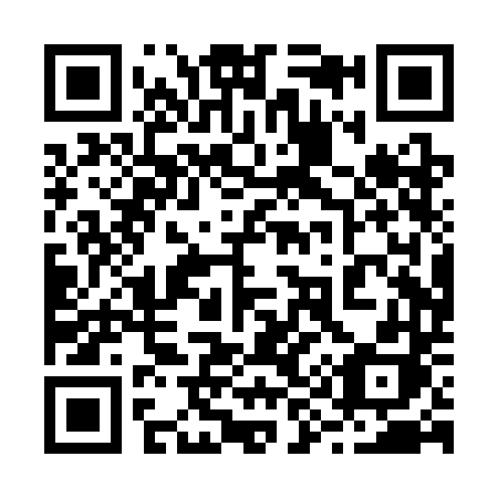 QR code for 290SDH