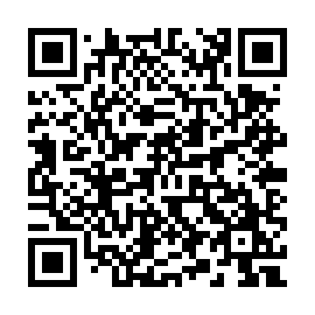 QR code for 290TXO